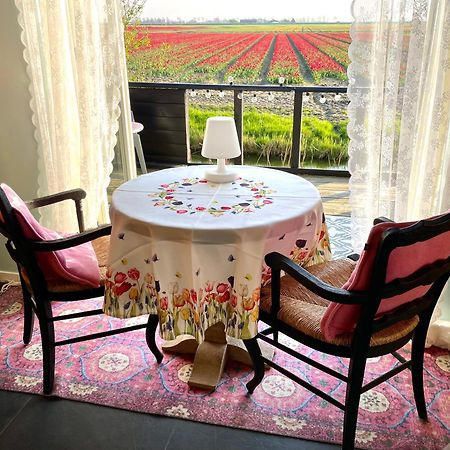 Barsingerhorn B&B De Verre Kijker المظهر الخارجي الصورة