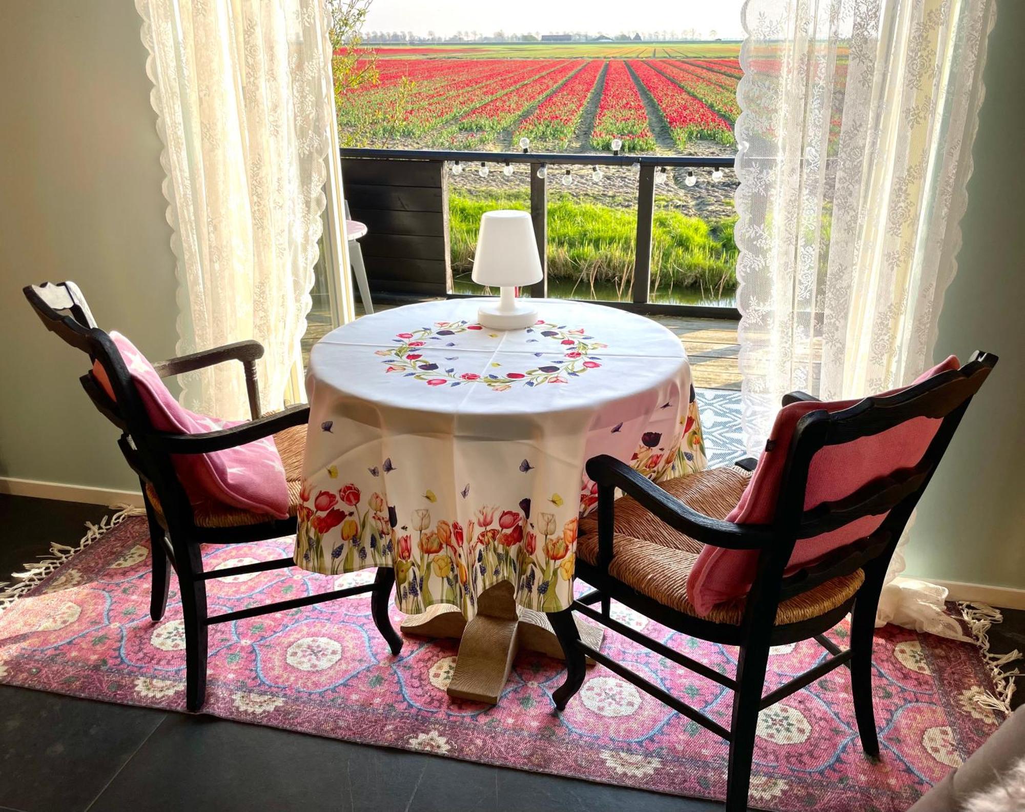 Barsingerhorn B&B De Verre Kijker المظهر الخارجي الصورة